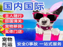 莫力达瓦旗航空托运国际宠物托运 【国